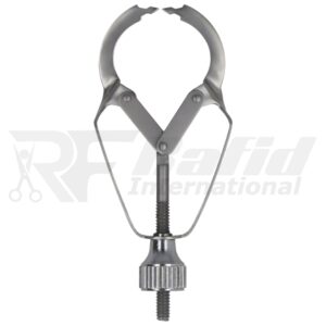 IVORY MATRIX Retainer | RI-62-142