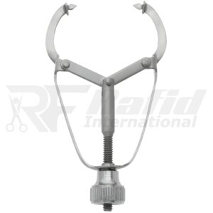 IVORY MATRIX Retainer | RI-62-142A